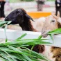 搜索 - 雷速官网